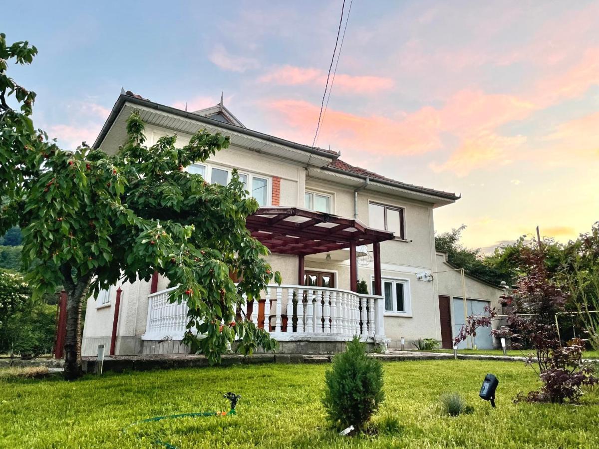 Vila Cozy, Panorama Superba, Gratar Si Relaxare 피아트라네암츠 외부 사진
