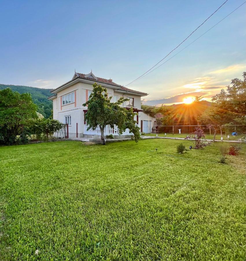Vila Cozy, Panorama Superba, Gratar Si Relaxare 피아트라네암츠 외부 사진